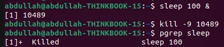 bash kill process using kill with signal no.