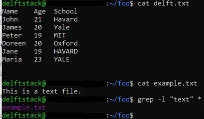 The grep Command in Linux