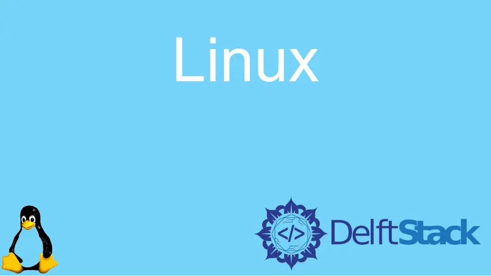 Cómo realizar operaciones de deshacer y rehacer en Vim y Vi