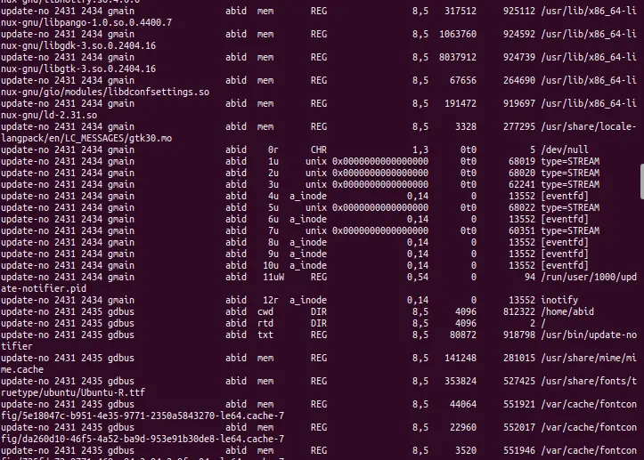 Using the lsof command to list files and ports