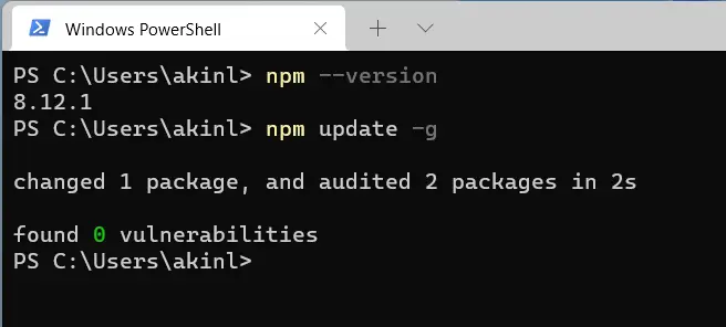 actualización npm -g