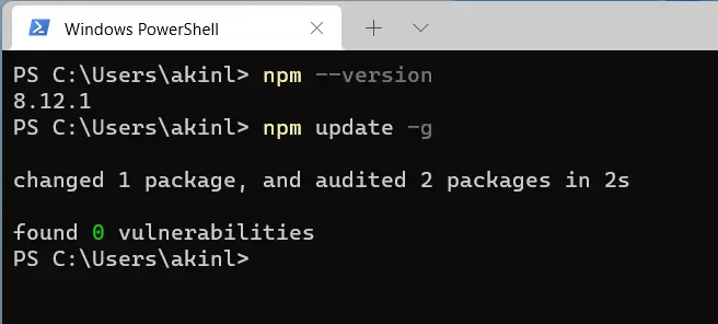 npm 업데이트 -g