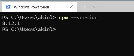 versión npm