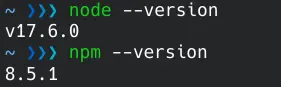 npm &ndash;version