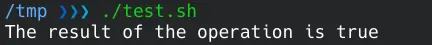 OR operand in Bash scripting