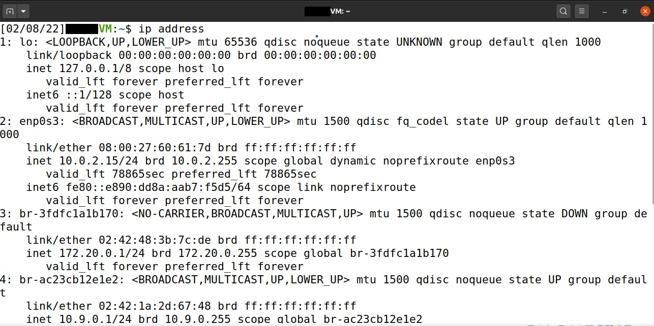 terminal ip address command