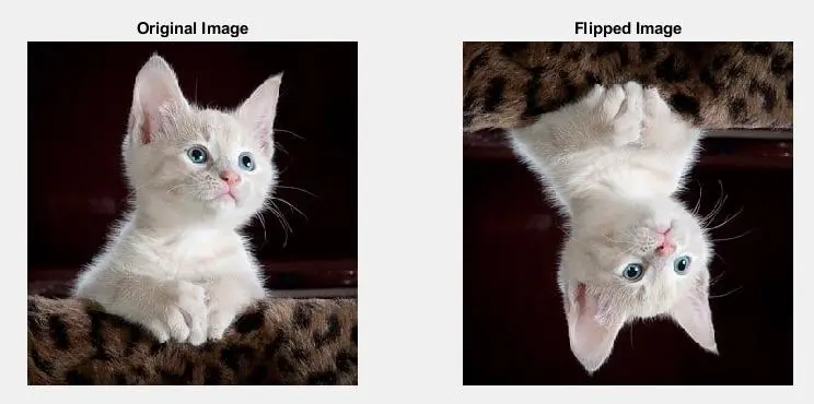 matlab で flip()関数を使用して反転した画像