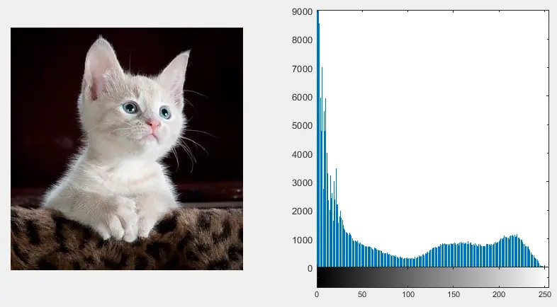 image histogram