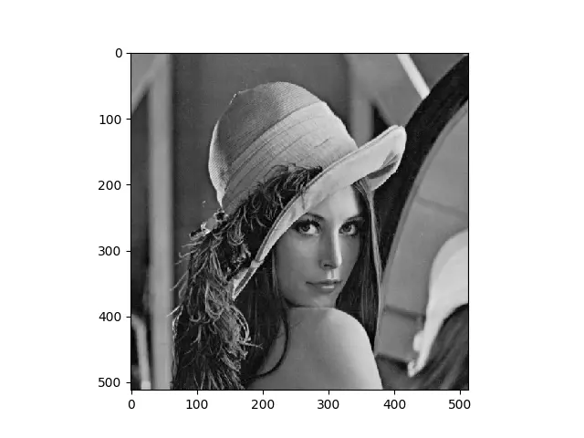 Imagen en escala de grises de la pantalla Matplotlib