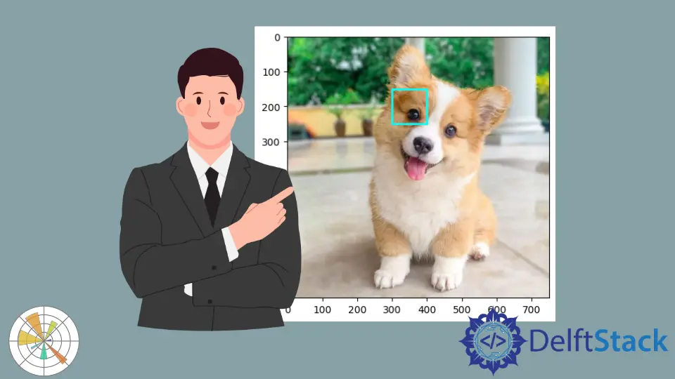 Matplotlib 에서 이미지에 사각형을 그리는 방법