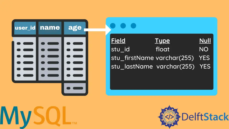 Spaltennamen in MySQL abrufen