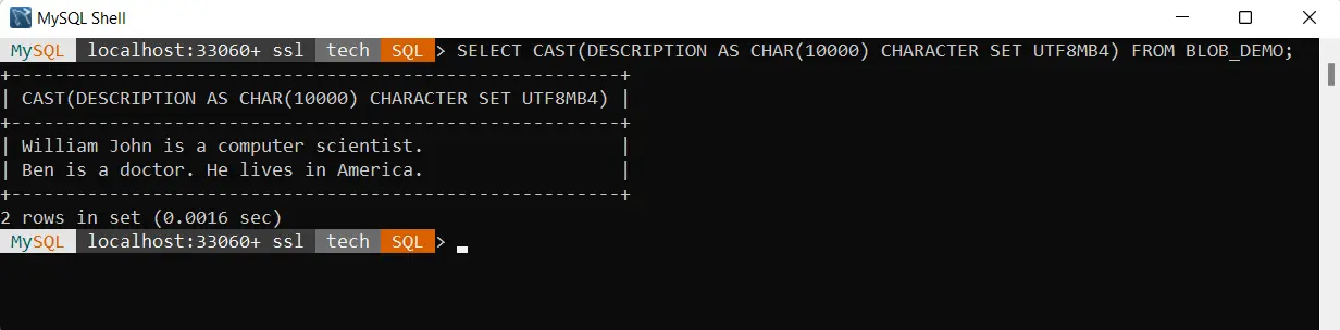 MySQL-Blob in String – CAST