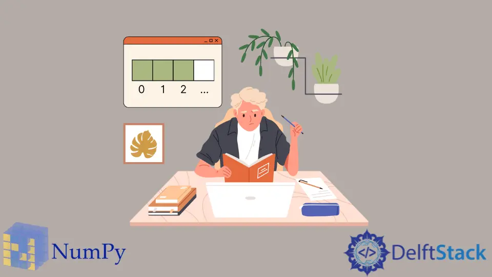 Indexación de array NumPy