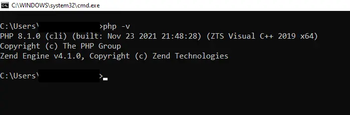 Checking PHP version via the command line