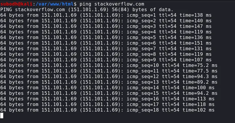 ping in terminal