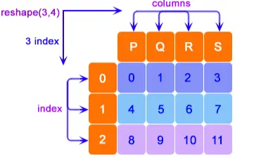 dummy data frame