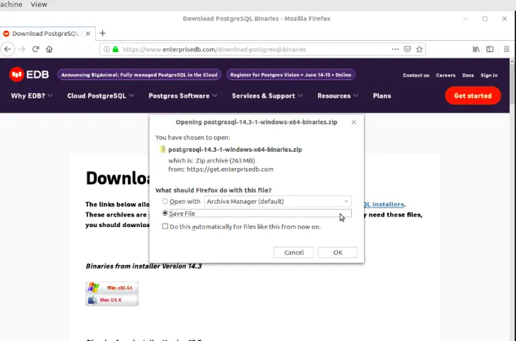 download PostgreSQL binaries