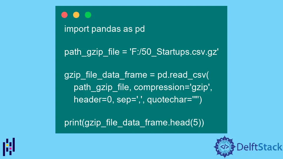 Pandas에서 GZ 파일 읽기