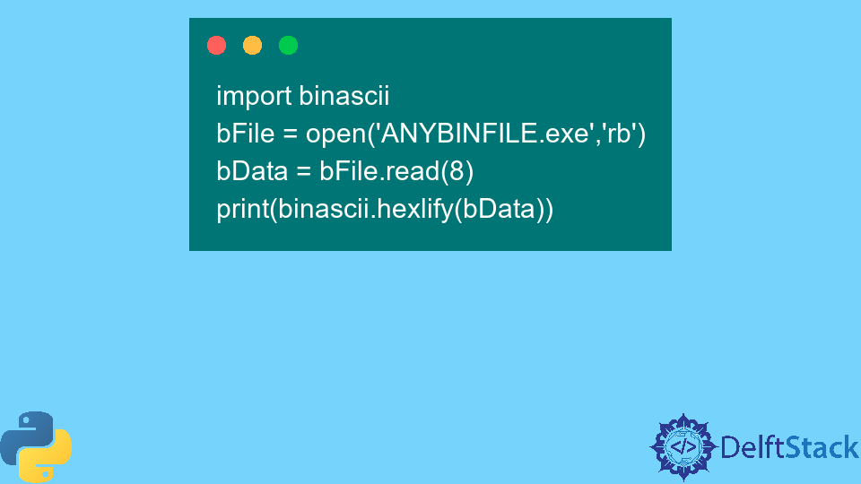 Convert Binary to Hex in Python