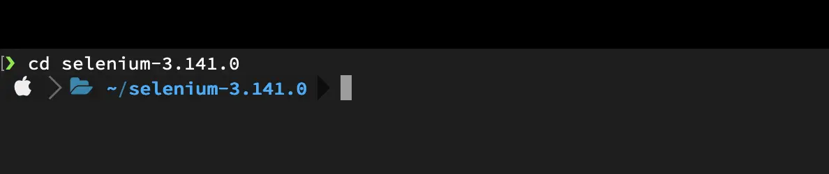 cd Selenium Installation