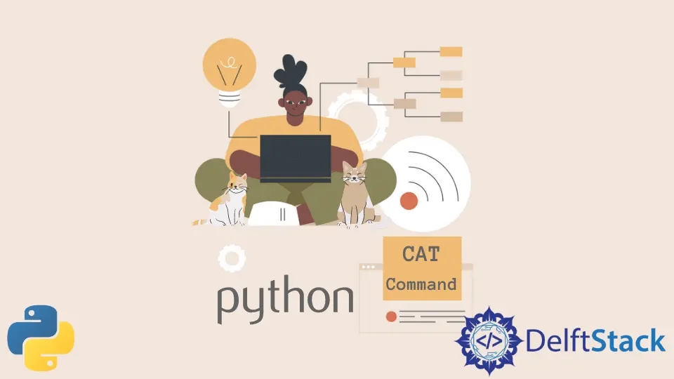Usando el comando cat en Python