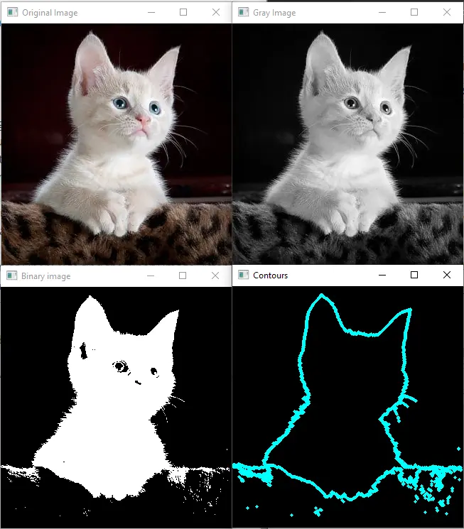 使用 opencv 查詢輪廓