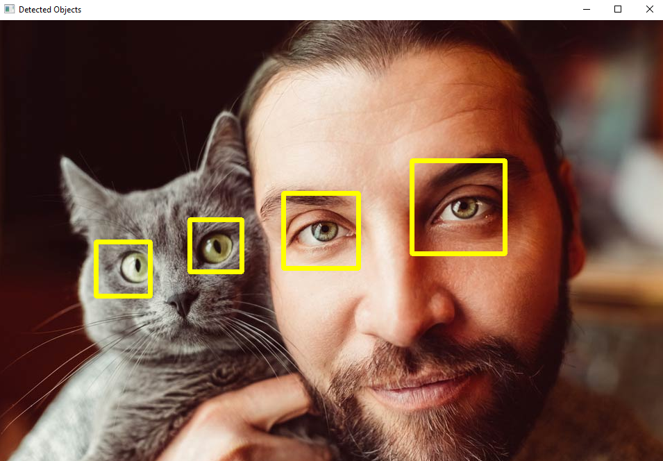 OpenCV Object Detection