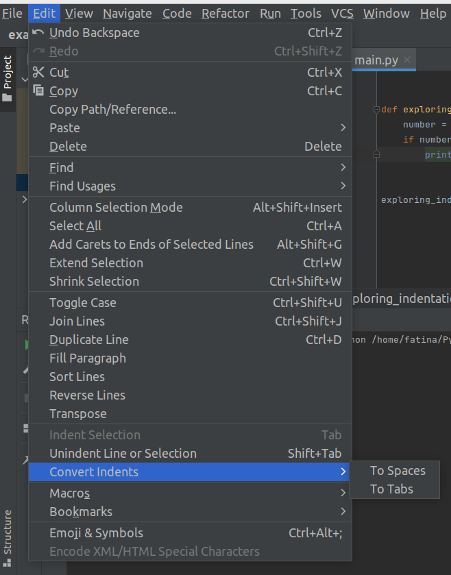 Editing the setting of Pycharm to fix the indentation error