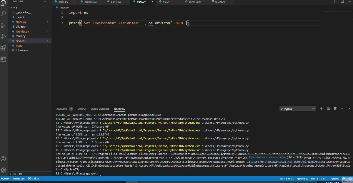 set environment variables