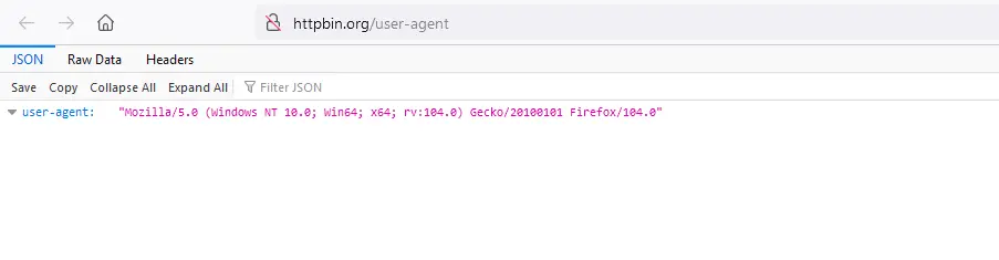 User-Agent Mozilla