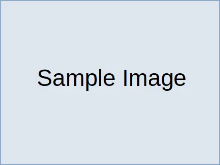 How to Include a Local Image File in an R Presentation