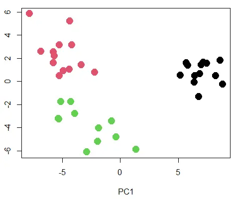 带有聚类的 PCA 散点图