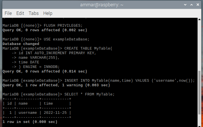 MySQL in Raspberry Pi