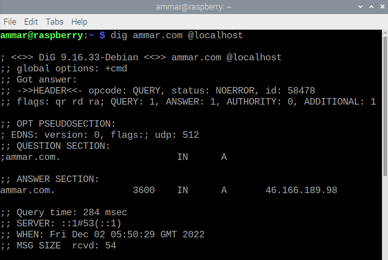 DNS Server on Raspberry Pi