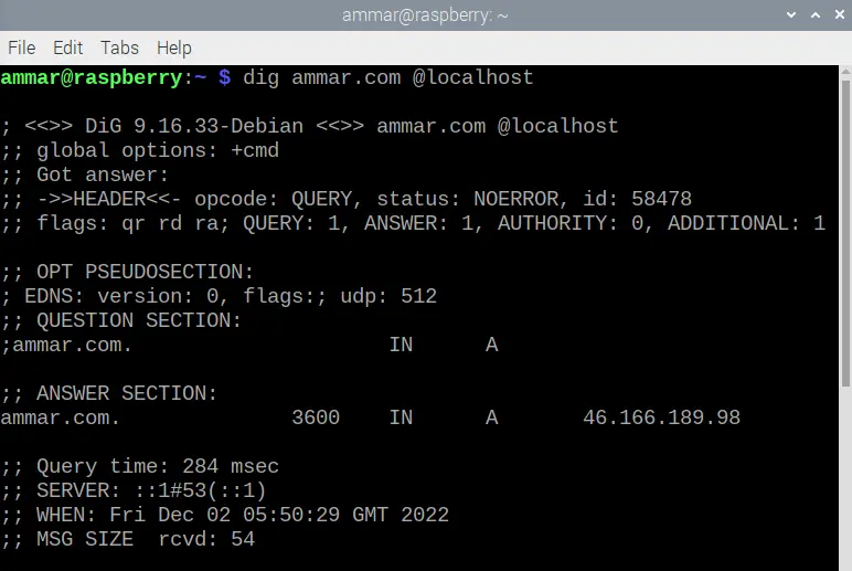 DNS-Server auf Raspberry Pi