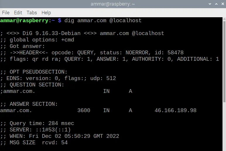 Servidor DNS en Raspberry Pi