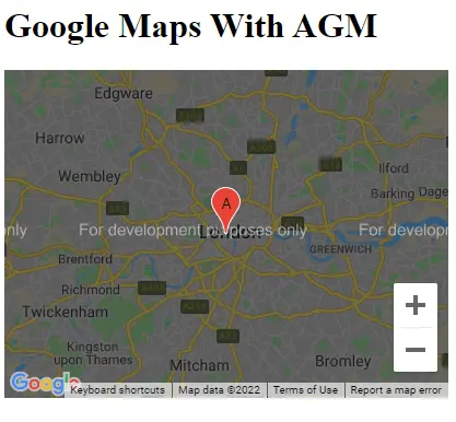 Angular の Google マップ